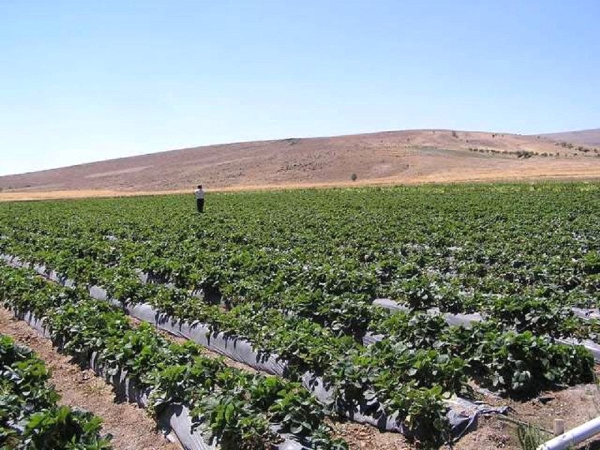 Kırsal Kalkınmada 8.Etap Tamamlandı