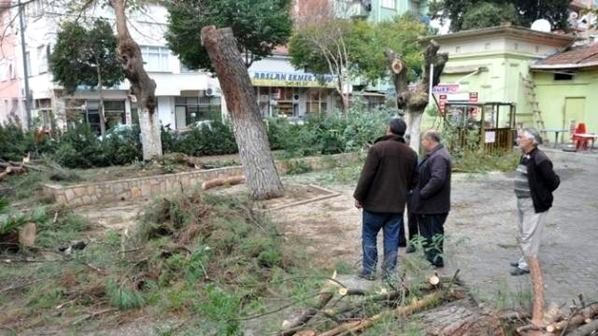 Ödemiş\'te Ağaç Kesimlerine Vatandaşlardan Tepki