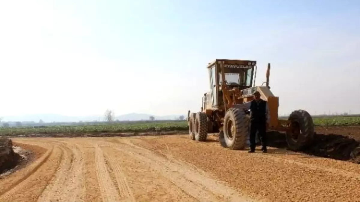 Tire\'nin Yeni Üretim Yolları Yüz Güldürüyor