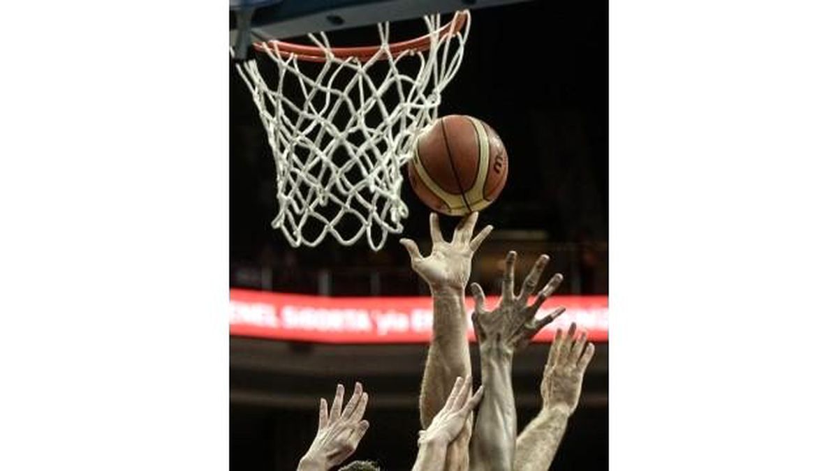 Türkiye Basketbol Ligi