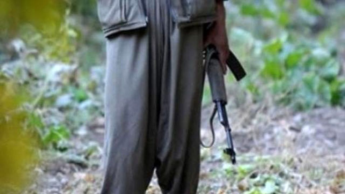 Şırnak\'ta 1 PKK\'lı Teslim Oldu