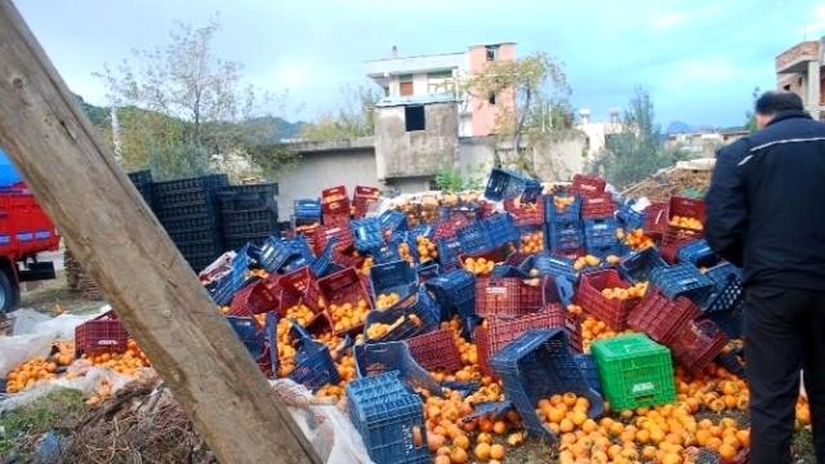 Karpit Bomba Gibi Patladı