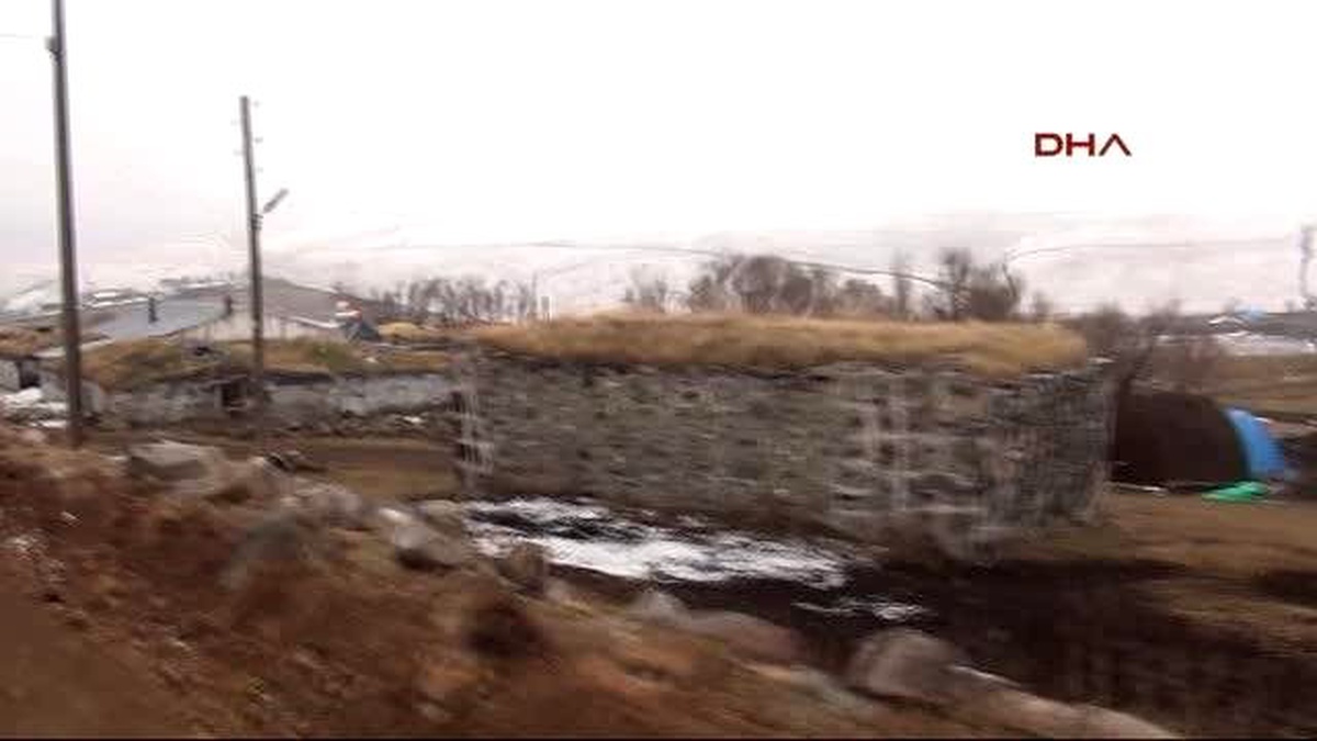 Kuş Gribi, Köylüleri Horoz Sesine Hasret Bıraktı