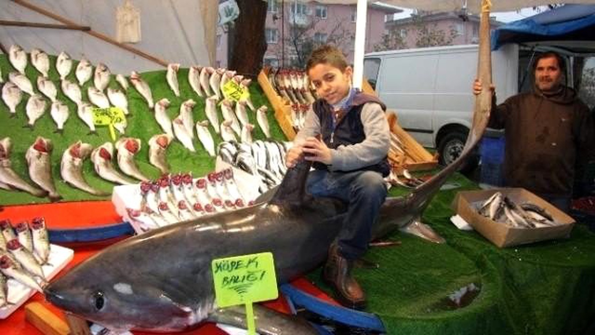 Bursa\'da Köpek Balığı Pazara İndi