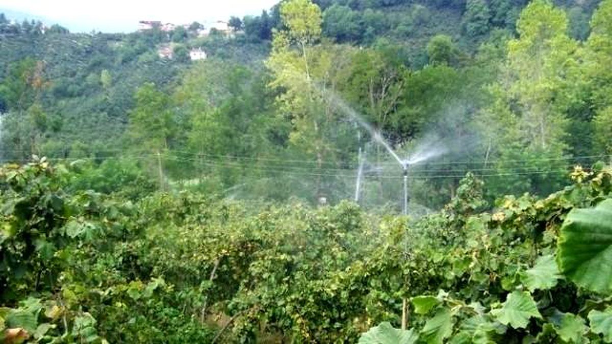 Tarım Desteği Havaalanını Geçti
