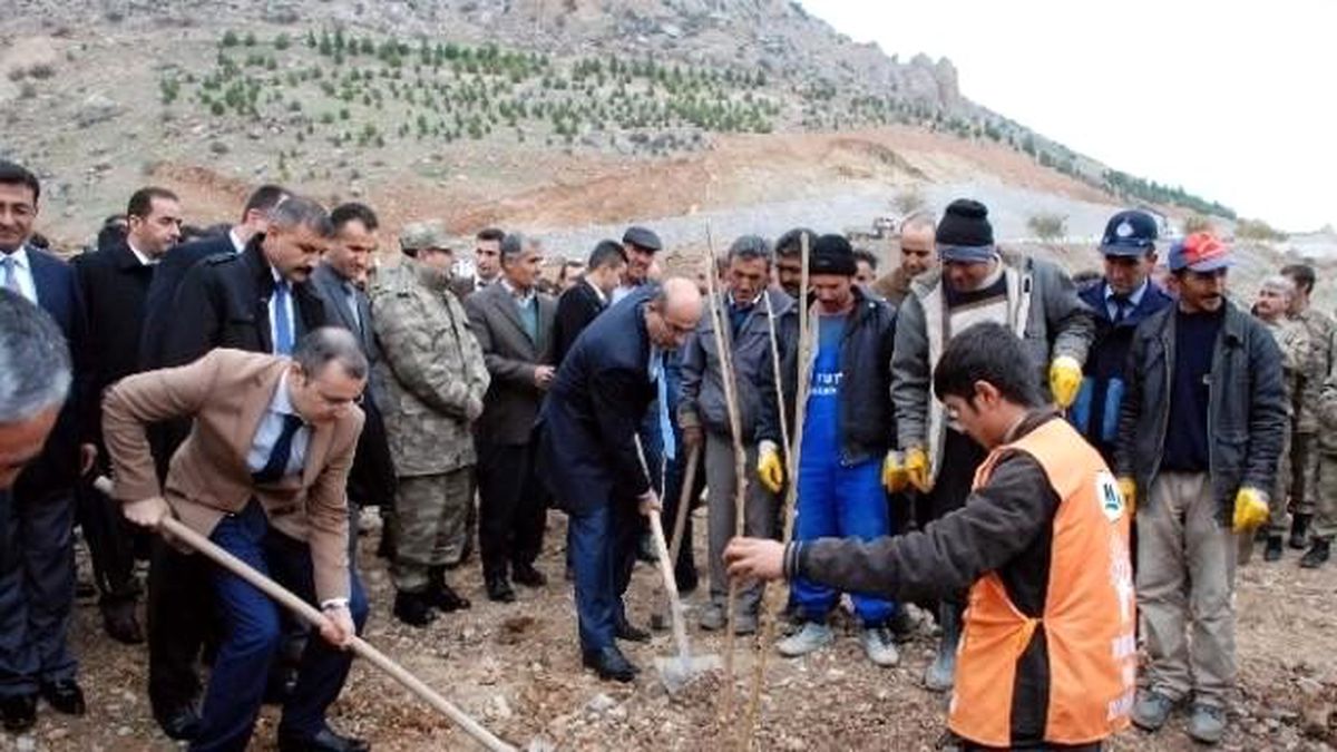 Adıyaman\'ın Tut İlçesinde 100 Bin Adet Dut Fidanı Toprakla Buluşuyor
