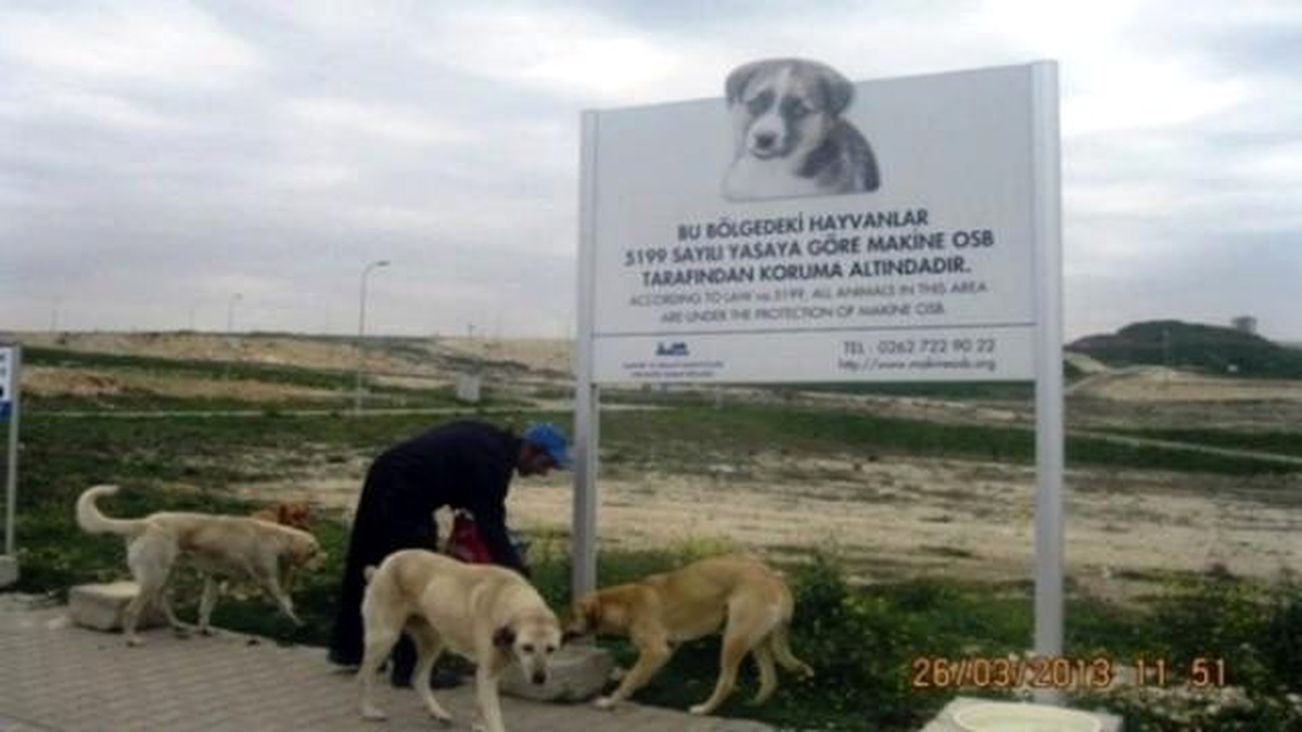 Bizim Sokağın Çocukları Projesi