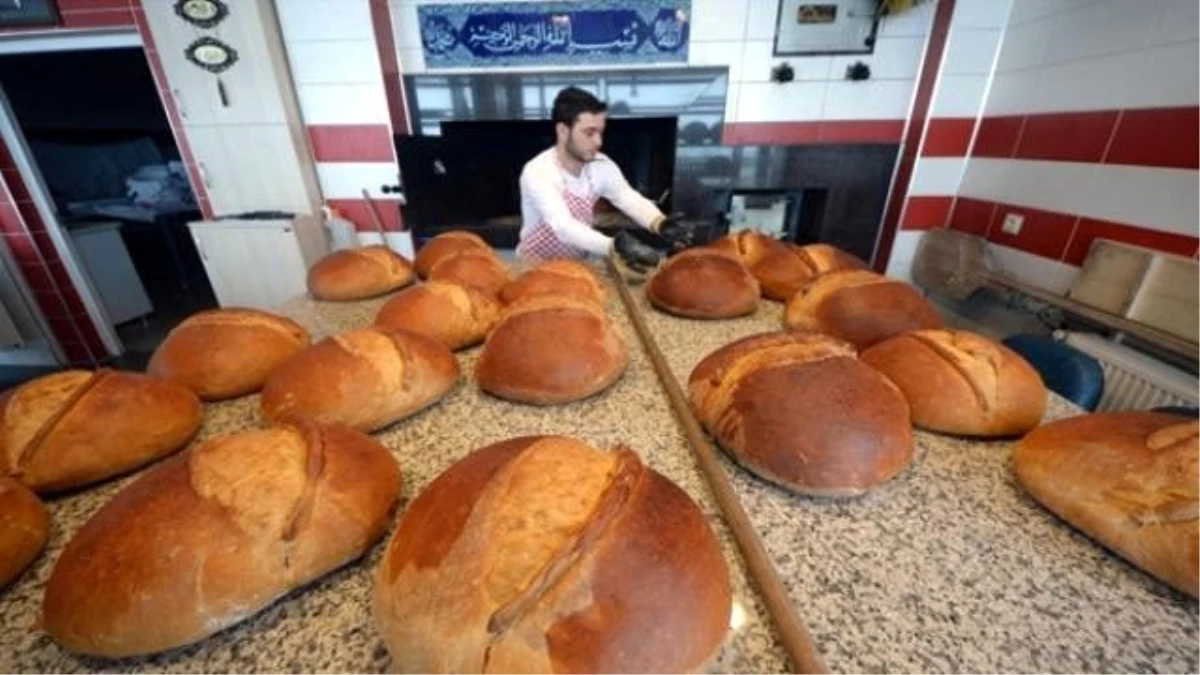 Her Gün 12 Milyon Emek İsraf Oluyor!