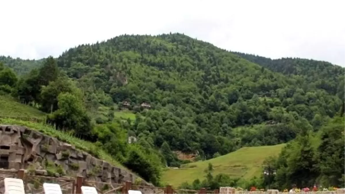 Rize\'de Günübirlik Termal Tur Dönemi