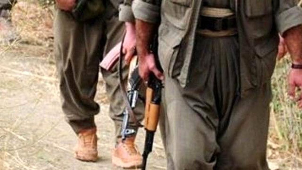 Şırnak\'ta 2 Terörist Teslim Oldu