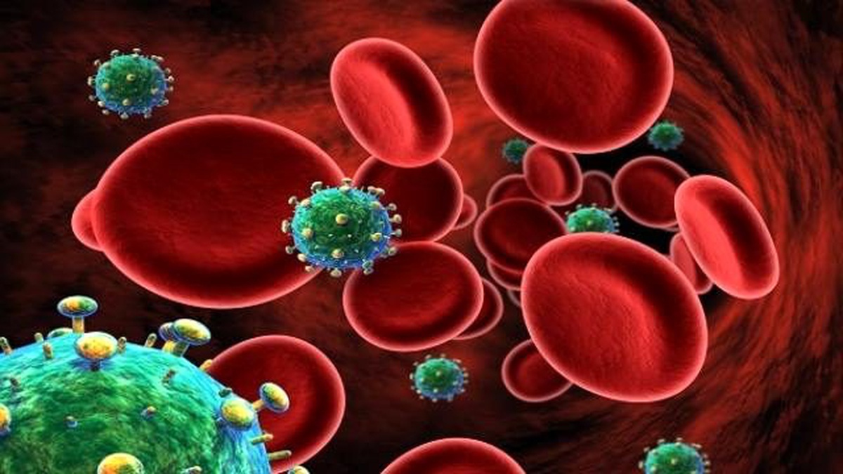 Türkiye\'de Yaklaşık 8 Bin Kişi HIV\'den Etkilendi"