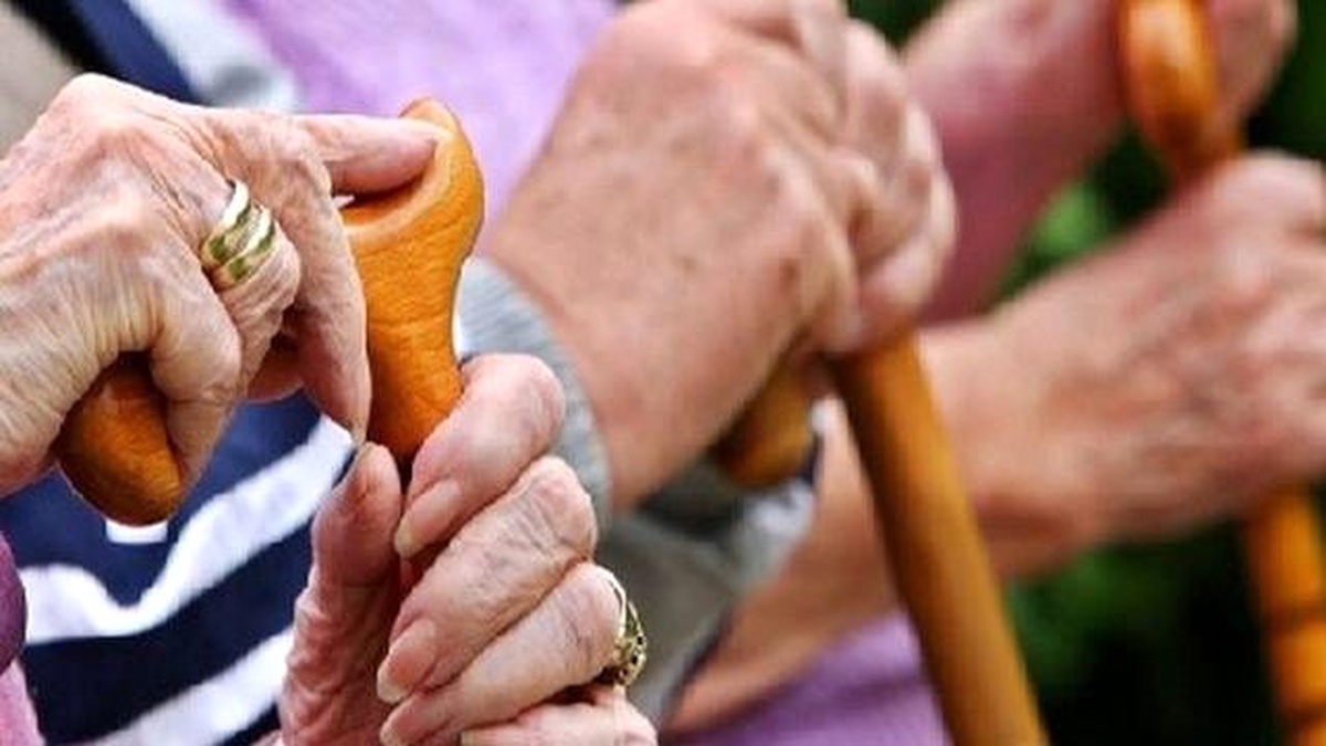 Türkiye Nüfus ve Sağlık Araştırması