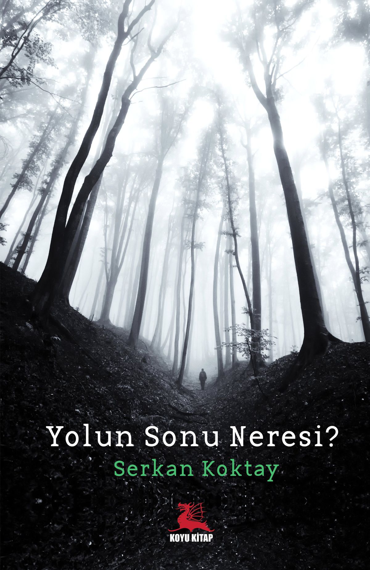 Yolun Sonu Neresi?