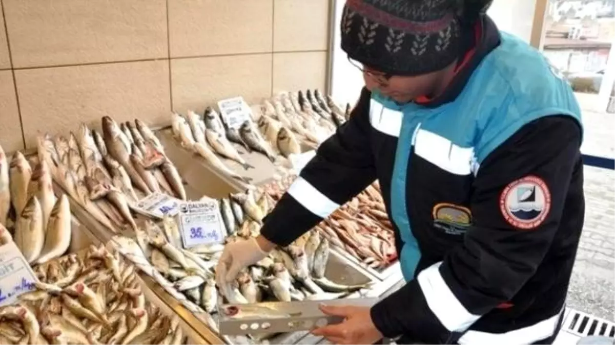 Ankara'da Balık Denetimi