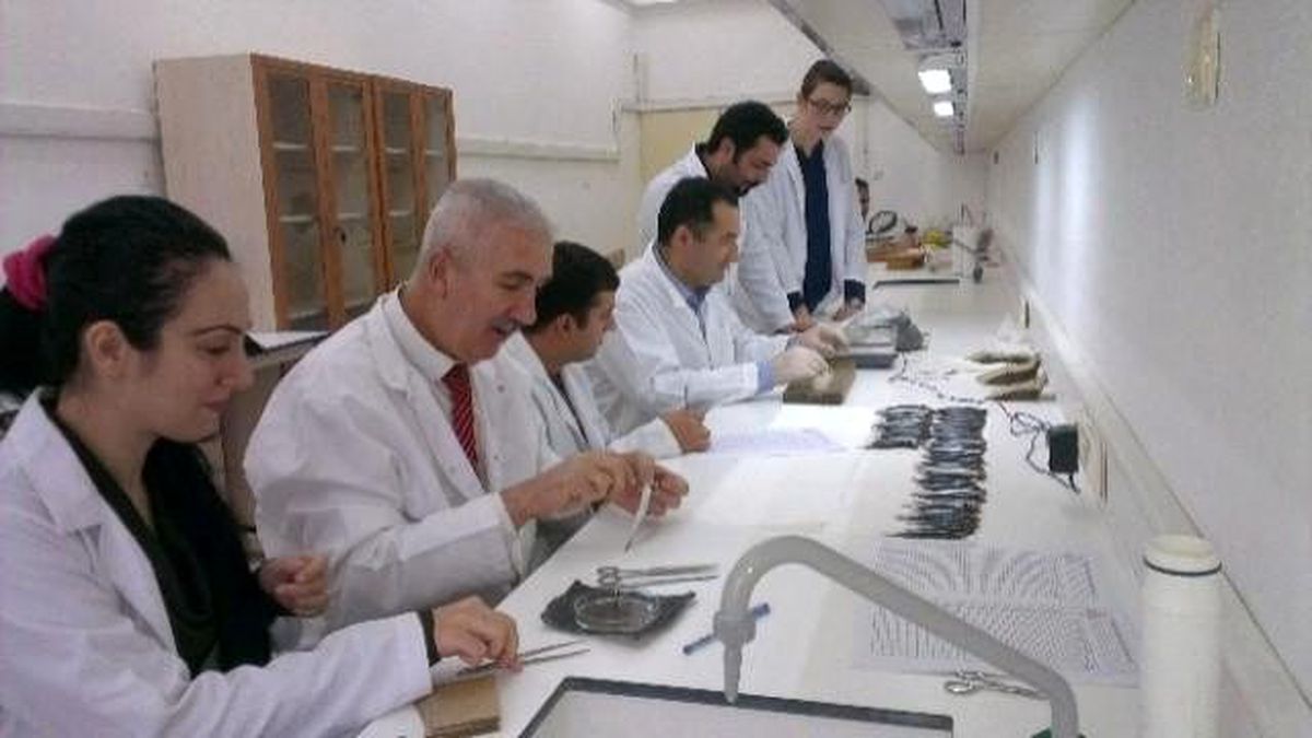Hamsi İzleme Çalışmaları