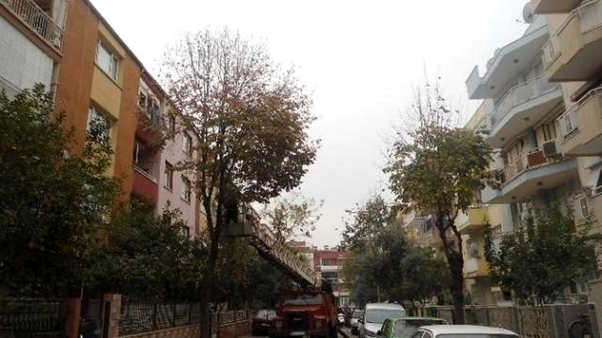 Ödemiş\'te Ağaçlar Budanıyor