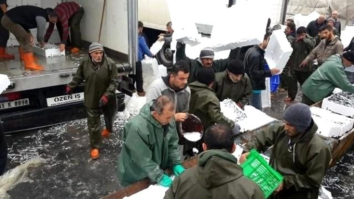 Balıkçılık Zor Zanaat Ama Onlar İçin Bir "Sevda"