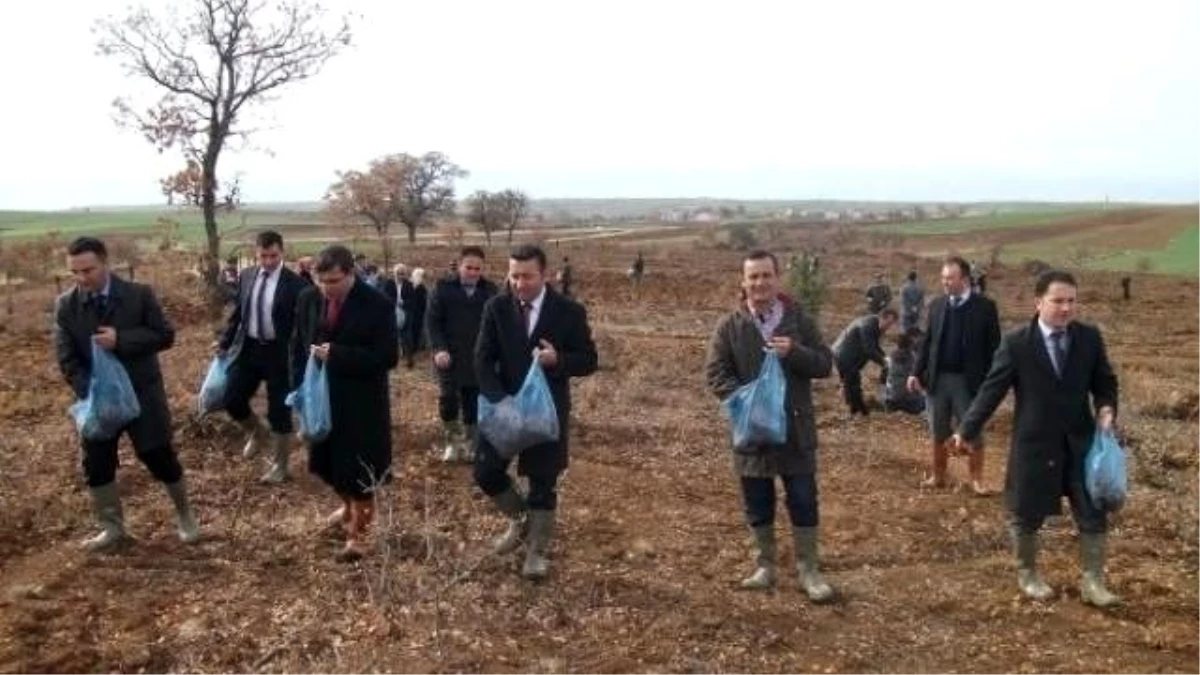 Tohumlar Daha Yeşil Bir Örtü İçin Toprağa Serpildi