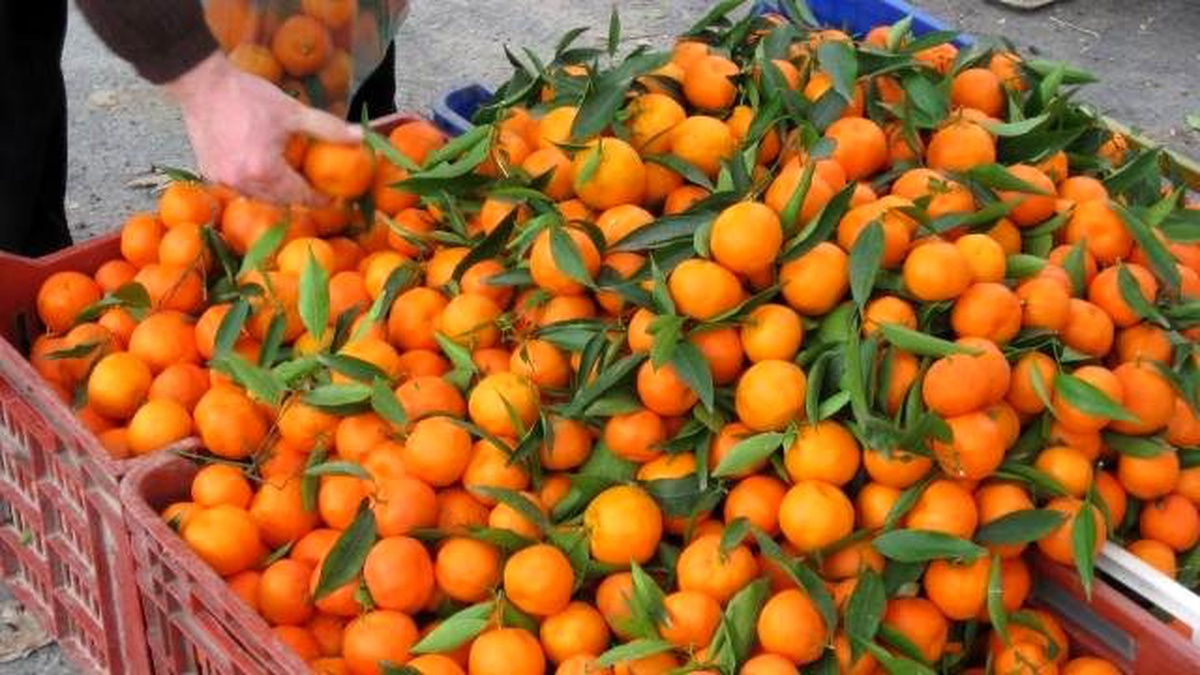Tzob Genel Başkanı Bayraktar Açıklaması