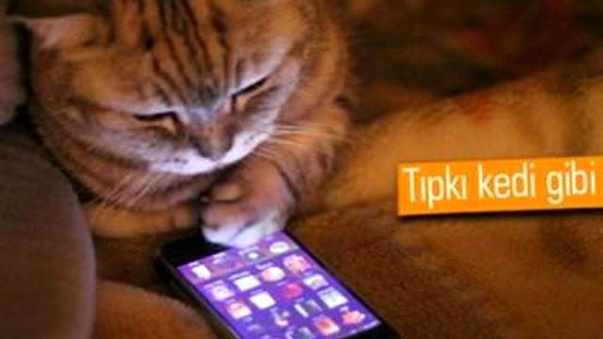 Apple\'dan Düşmelere Karşı Dayanıklı İphone Gelebilir