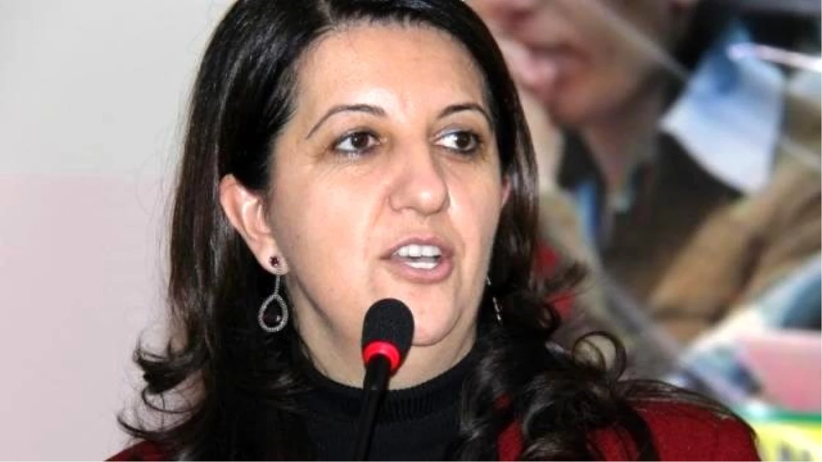 Hdp\'li Buldan: Kriz Yok, Hükümet ile Görüştükten Sonra Kandil\'e Gideceğiz