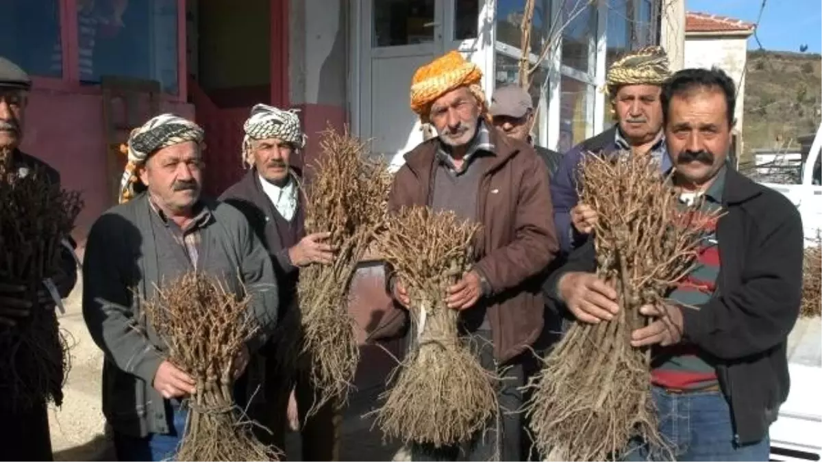 Yeni Dönemin İlk Dağıtımı Bornova\'dan Başlatılıyor