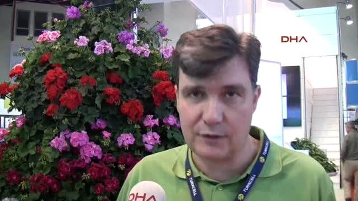 Antalya\'dan Limonlu Kekik İhracatı