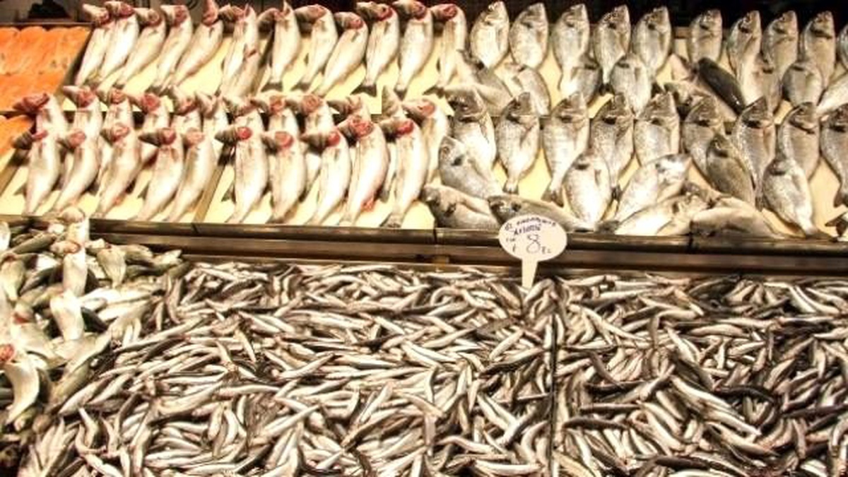 Havaların Rüzgarlı Olması Balık Fiyatlarını Artırdı