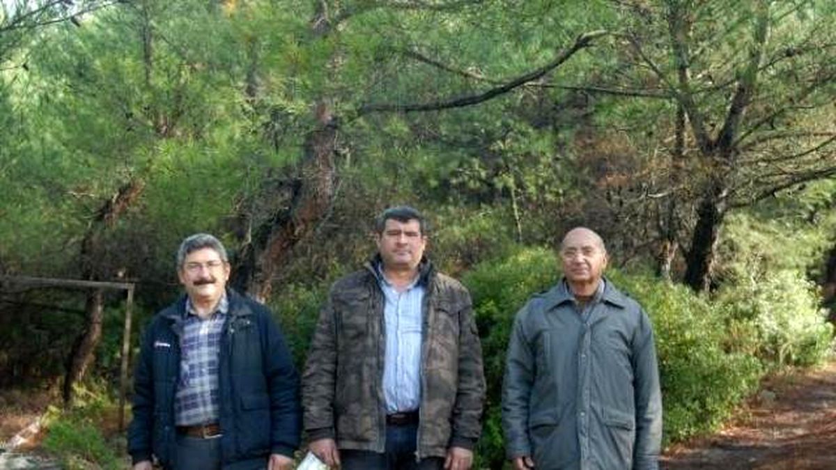 Res İçin Bin Ağaç Kesilecek