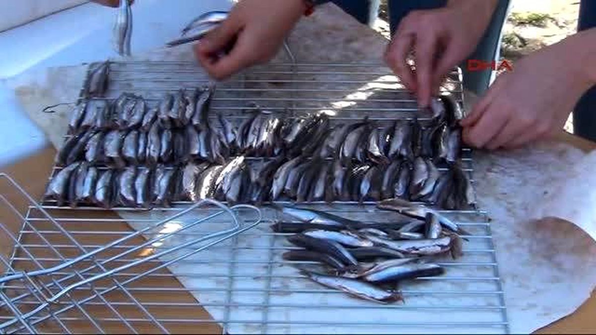 Samsun\'da 10 Bin Kişiye 3 Ton Hamsi Dağıtıldı