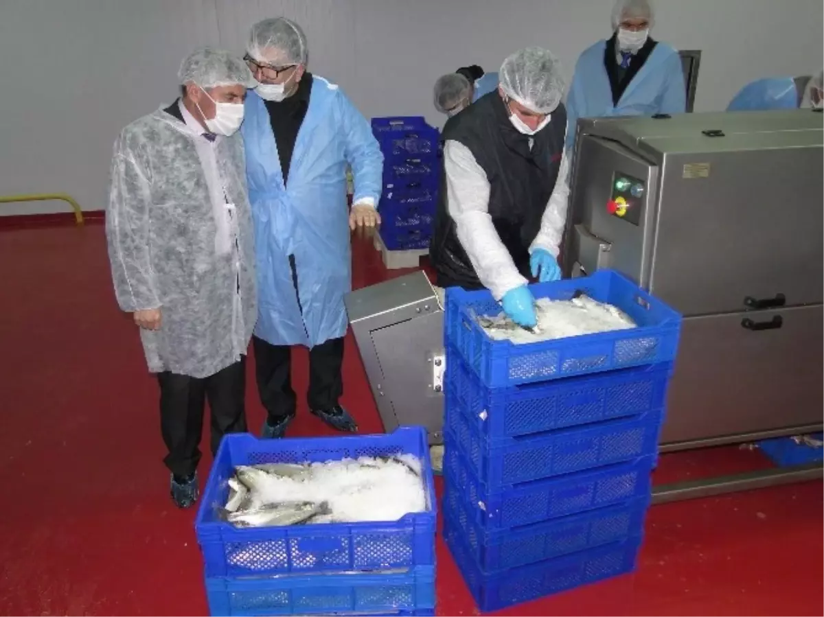 Kırsal Kalkınma Yatırımından Yararlandı, Ekonomiye Katkıda Bulunuyor