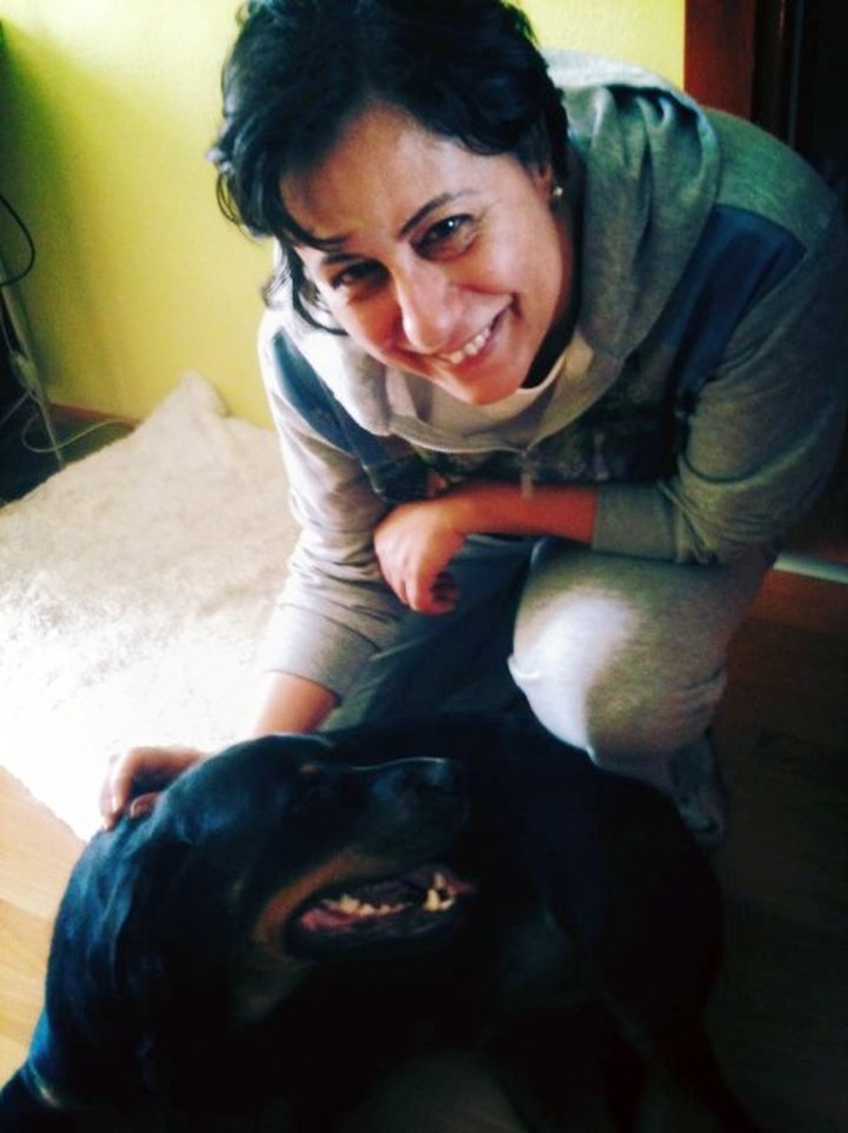 Parkta Aydınlatma Direğine Bağlanan Köpek Telef Oldu