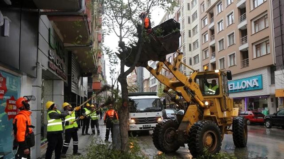 Ana Caddelerdeki Ağaçlar Budanıyor