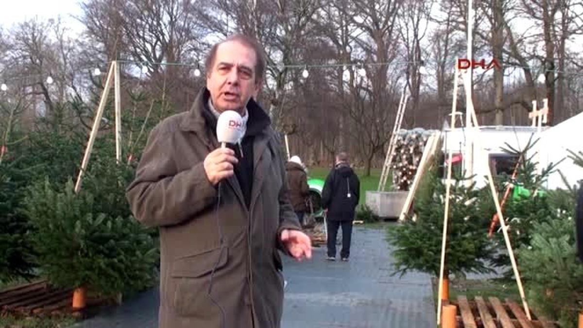 Danimarka Avrupa\'nın En Çok Noel Ağacı İhraç Eden Ülkesi