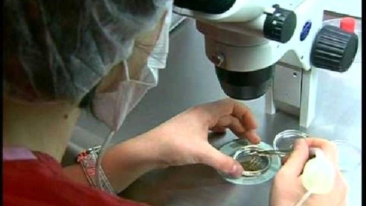 Dünyadaki 5 Milyon Ivf Bebeğini Neler Bekliyor?