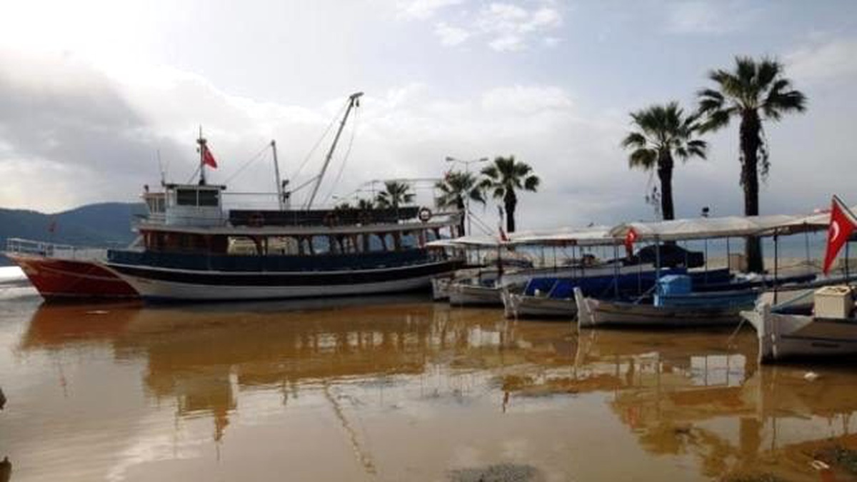 Gökova Körfezinin Rengi Değişti