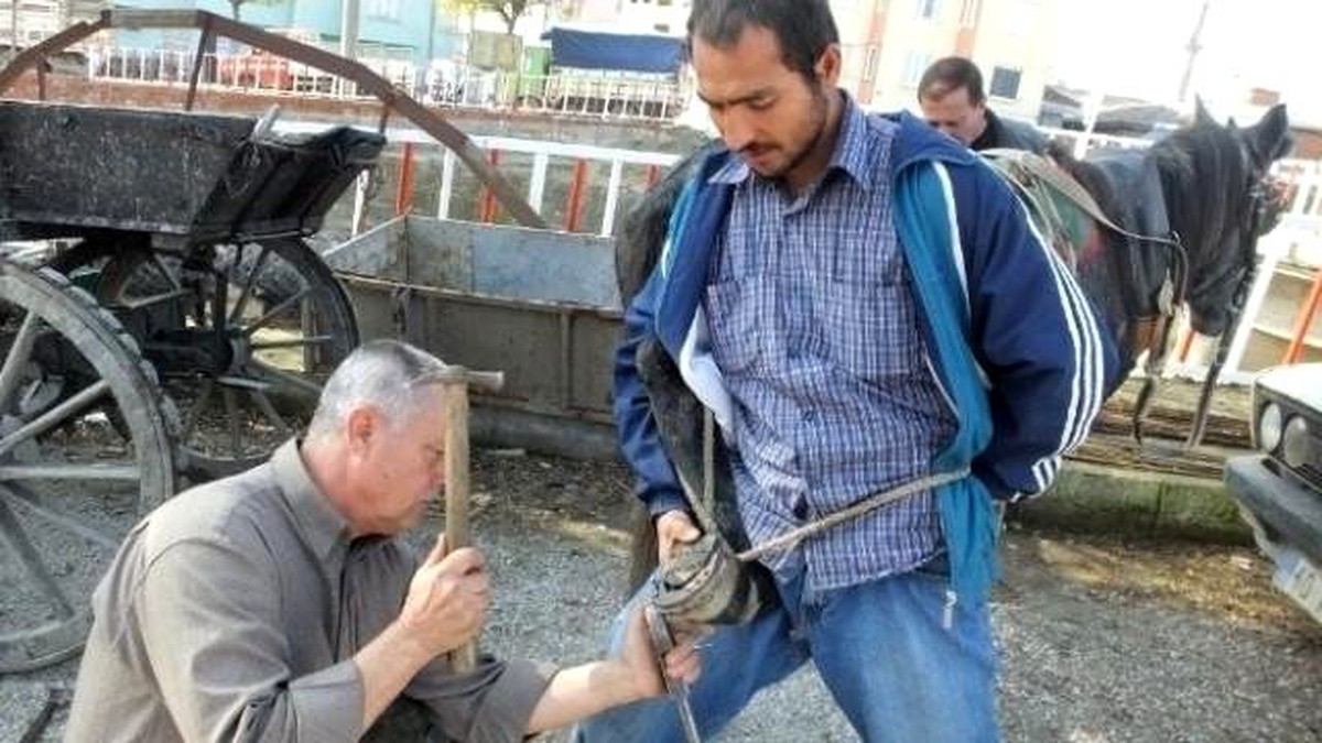 Havran\'da Nalbantlığın Son Temsilcisi