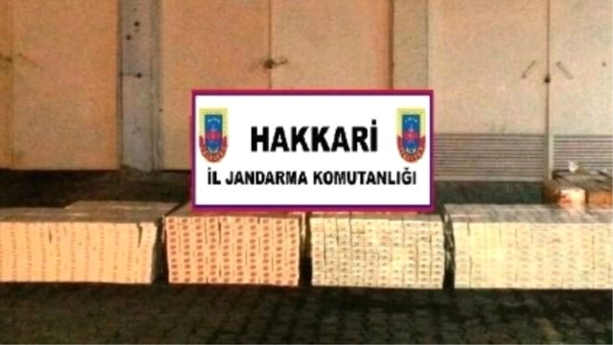 Yüksekova\'da 35 Bin Paket Kaçak Sigara Ele Geçirdi