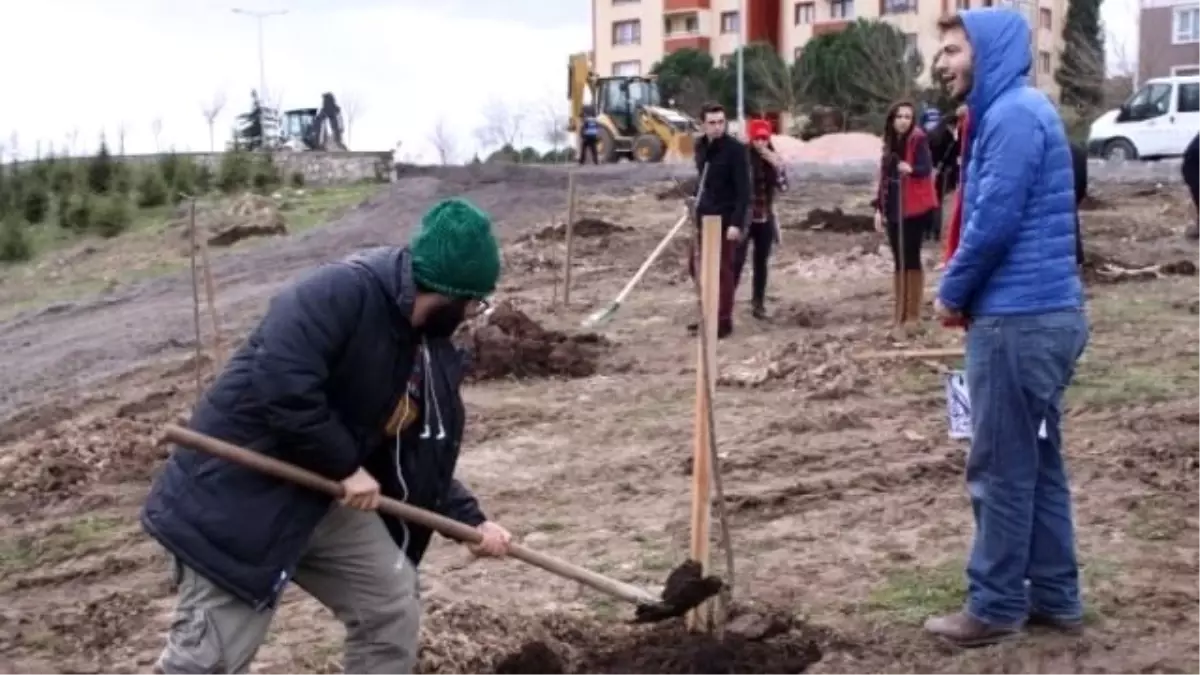 319 Maden Şehidi Anısına 319 Fidan