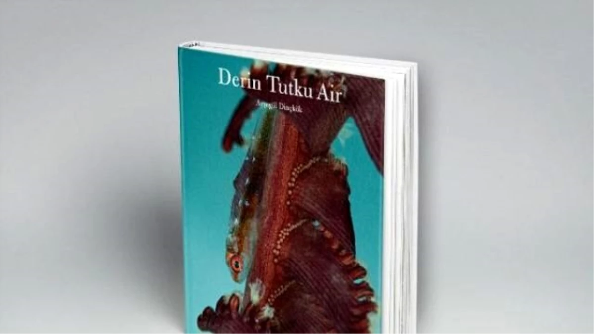 Ayşegül Dinçkök\'ün, Derin Tutku\'su Kitap Oldu