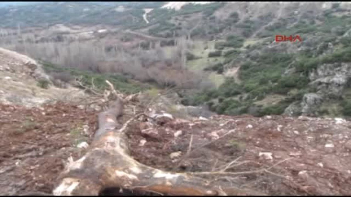 Burdur\'da Tır Kaza Yaptı 1 Yaralı