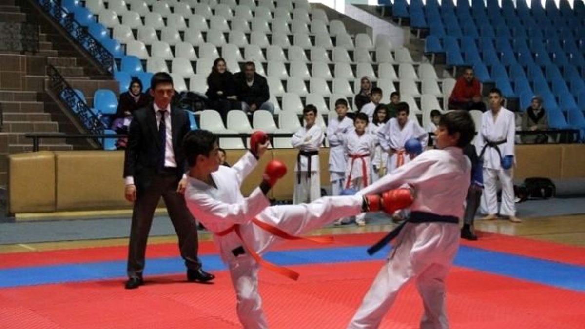 Erzincan\'da Yıldızlar Karate Müsabakaları Yapıldı