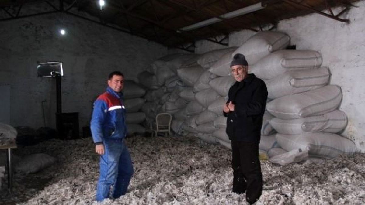 Tüy Entegre Tesisi Çıldır\'da Hizmete Girdi