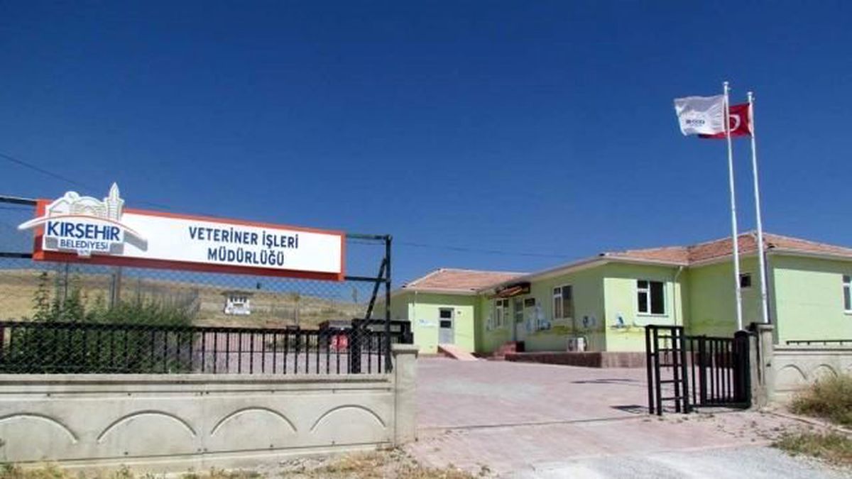 Erzurum\'daki Hayvanlar Artık Üşümeyecek