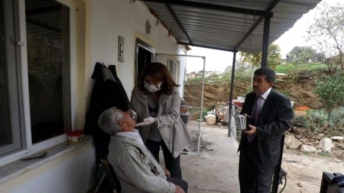 Aydın Yaşlı Çınarlarına Sahip Çıkıyor