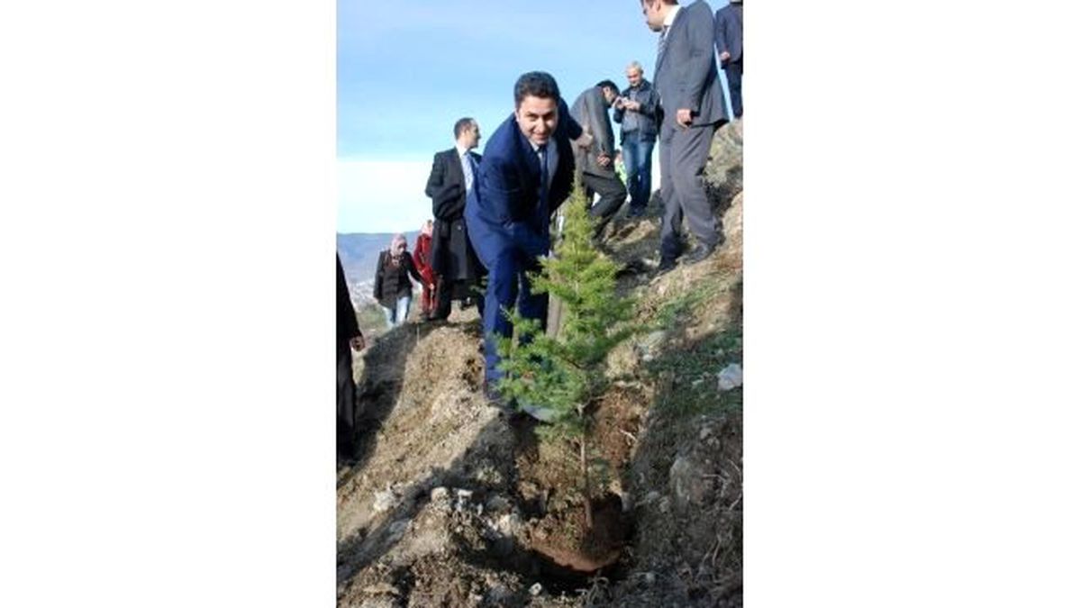 Başkan Eroğlu\'dan Ağaç Kestiren Başkan Salman\'a Tepki