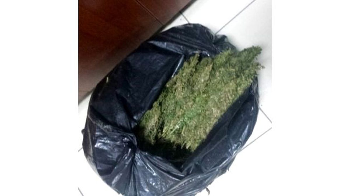 Batman\'da 15 Kilogram Esrar Ele Geçirildi