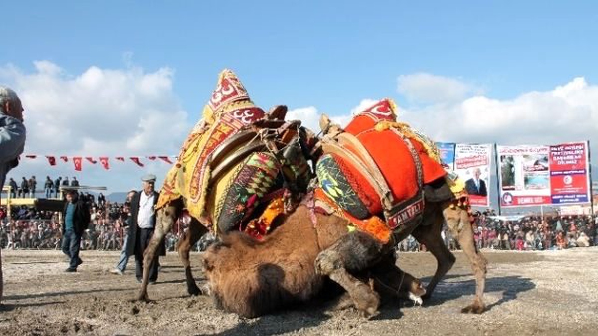 Demre\'de Yüksekokul Yararına Güreş Düzenlenecek