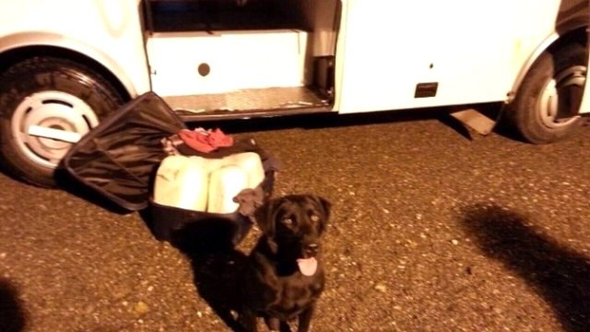 Diyarbakır\'da 13 Kilo Esrar Ele Geçirildi