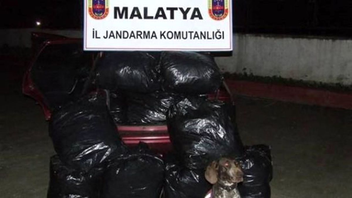 118 Kilo Esrar Ele Geçirildi